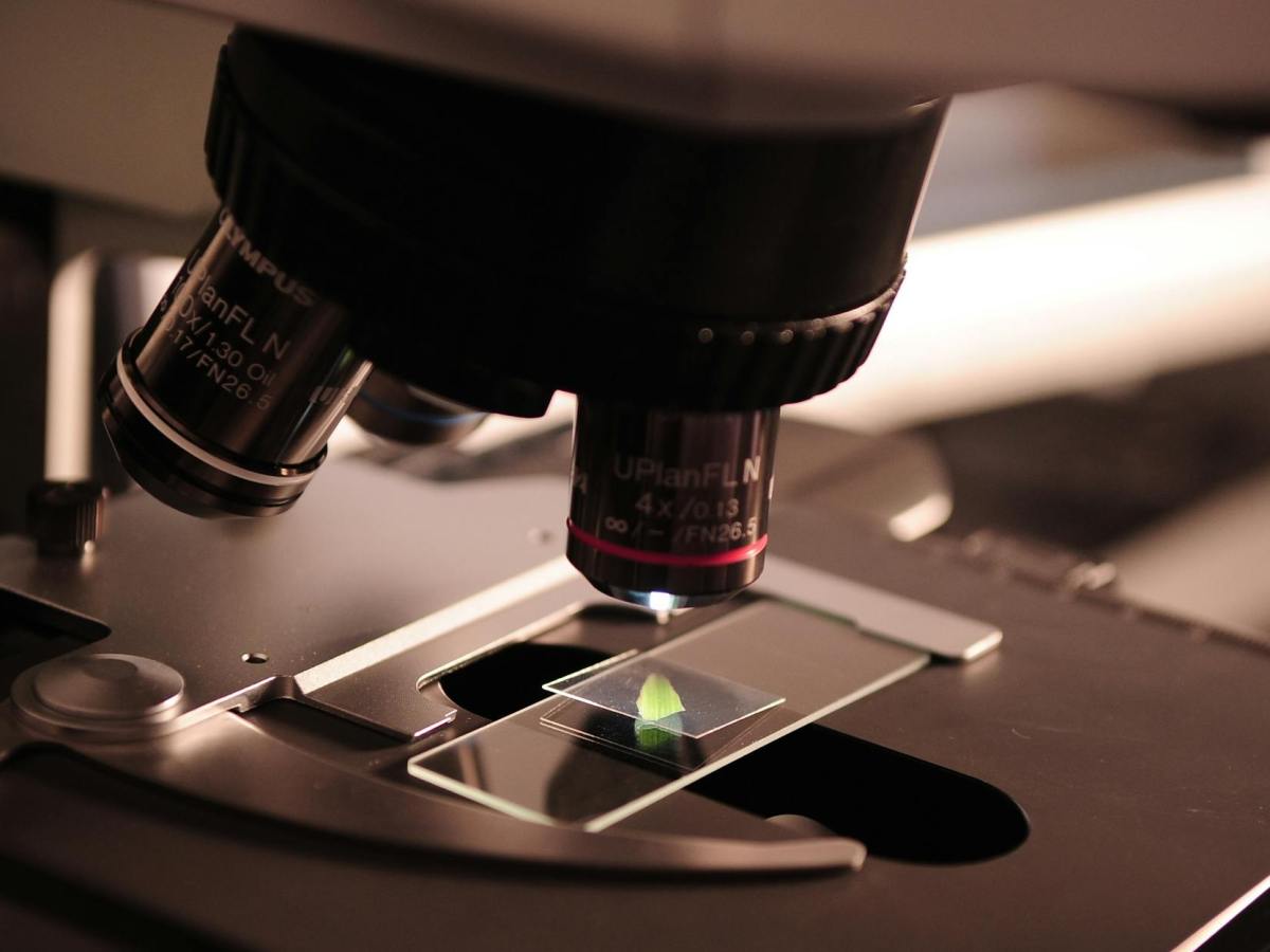 Junho Laranja: A Importância do Hemograma na Detecção de Anemia e&nbsp;Leucemia